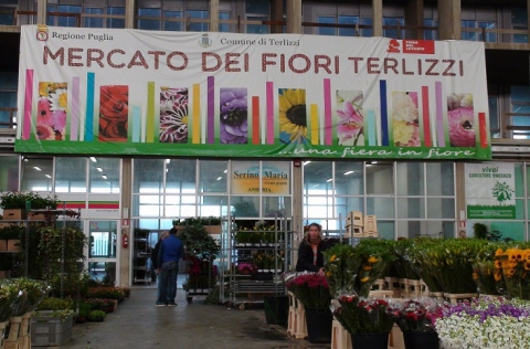 Ore 5.30 di mattina, suona la sirena: c'� il mercato dei fiori di Terlizzi